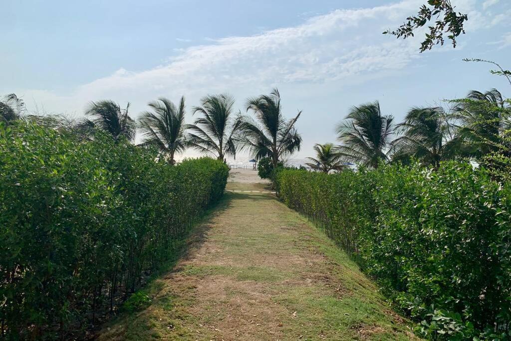 Cartagena, Gran Experiencia Frente Al Mar A 20 Minutos Del Centro Historico Y 13 Minutos Del Aeropuerto Lägenhet Exteriör bild